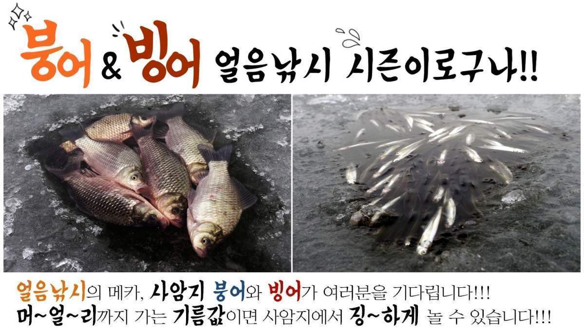 붕어빙어낚시.jpg